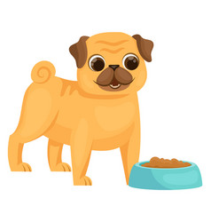 Funny Dog With Food Bowl Cartoon Pug Character