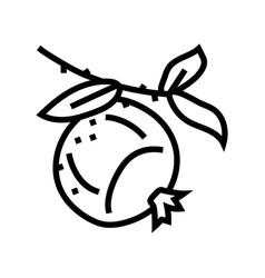 Pomegranate Branch Leaf Line Icon