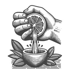 Hand Squeezing Lemon Into Bowl Engraving