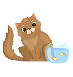 Cat Look At Fish Tank Funny Kitten Character