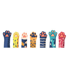 Cat Paw Row Collection Of Various Cute Kitten