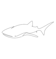 Whale Shark Continuous Line Drawing