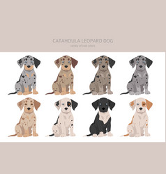 Catahoula Leopard Dog Puppies Clipart All Coat