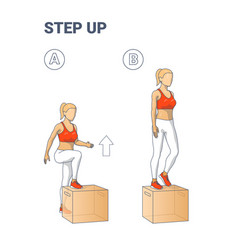 Step Up Exercise For Female Home Workout Colorful