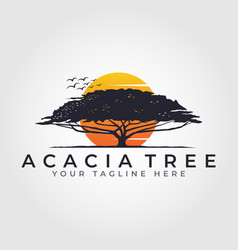 Sunset Sunrise In The Forest Logo Design Acacia