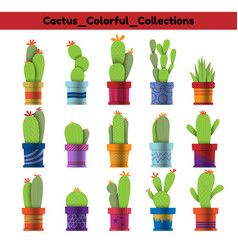 Cactus Colorful Collections