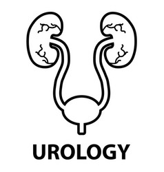 Urology Health Human Icon Anatomy Medical Body