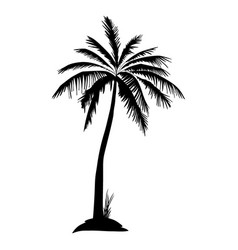 Black Isolated Palm Tree Silhouette