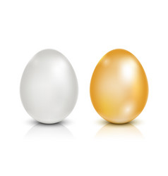 Brown And White Eggs