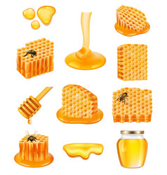 Realistic Honeycomb Bee Wax Cells With Healthy