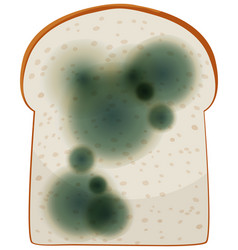 A Piece Of Bread With Mold