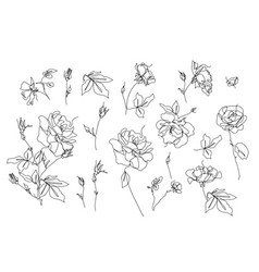 Set Of One Single Line Rose Flower Drawings