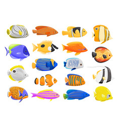 Set Of Colorful And Aquarium Fishes Angel