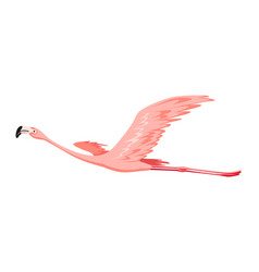 Pink Flamingo Exotic Tropical Bird Character