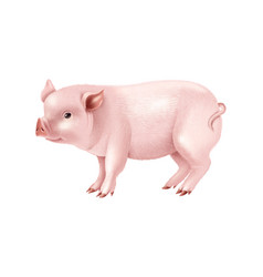 Realistic Pink Pig Composition