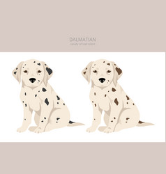 Dalmatian Puppies Clipart Different Poses Coat