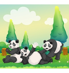 Three Pandas Playing In The Park