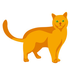 Ginger Cat Yellow Pet Standing Cute Animal