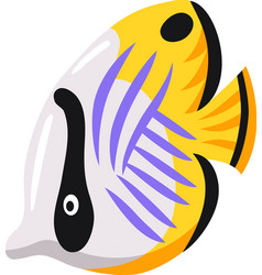 Emperor Angel Fish Composition