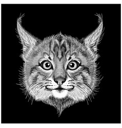 Caracal Cat Cartoon Lynx