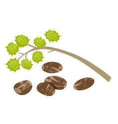 Castor Beans Ricinus Communis Isolated Icon