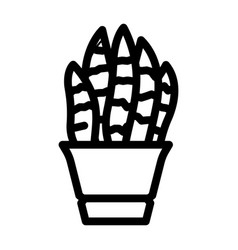 Sansevieria Trifasciata Line Icon