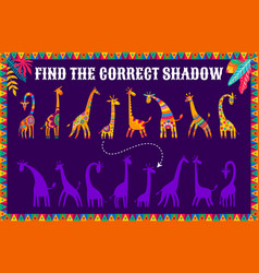 Find The Correct Shadow Of African Giraffes