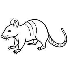 Cuban Solenodon Rodent Learns Icon