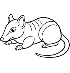 Cuban Solenodon Rodent Lies Icon