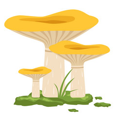 Wild Chanterelle Growing Forest Mushroom Cartoon