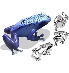 Blue Poison Dart Frog Set