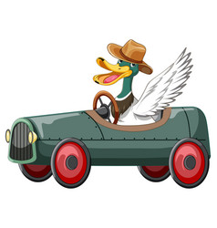 Soapbox Derby With Duck Driving Car