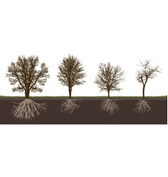 Bare Deciduous Trees With Root System Silhouette