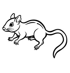 Cuban Solenodon Rodent Play Icon