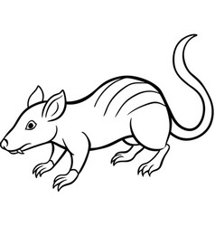 Cuban Solenodon Rodent Runs Icon