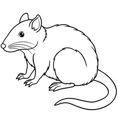 Cuban Solenodon Rodent Sits Icon