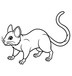 Cuban Solenodon Rodent Sleeps Icon