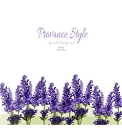 Lavender Provance Style