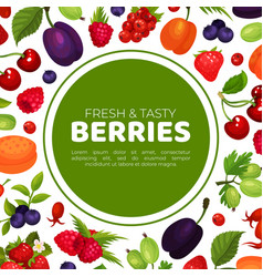 Berries Banner Template Fresh Ripe Cherry