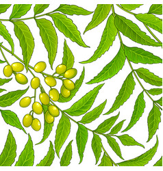 Neem Branches Pattern On White Background