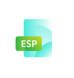 Esp Format Icon Gradient Flat Style Bright