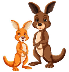 Cartoon Kangaroo And Rabbit Standing Together