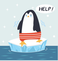 Sad Penguin On Ice Floe