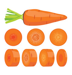 Whole Single Carrot And Chopped Carrot Slices