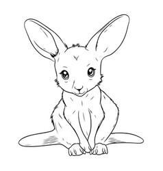 Kangaroo Sketch For Coloring Book