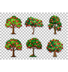 Set Of Variety Apple Trees On Transparent