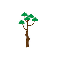 Pitch Pine Tree Icon Design Template