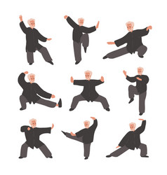 Set Old Man Practicing Tai Chi Qigong