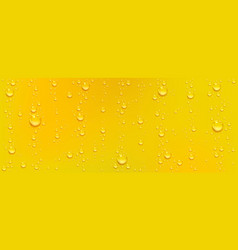 Water Or Beer Condensation Droplets Background