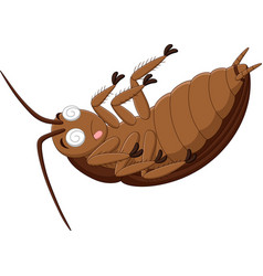 Cockroach Cartoon Royalty Free Vector Image - Vectorstock